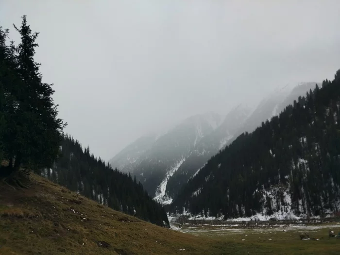 How we got lost in the mountains in Kyrgyzstan, but saved a sheep - Kyrgyzstan, The mountains, Life stories, Longpost, My, Travels