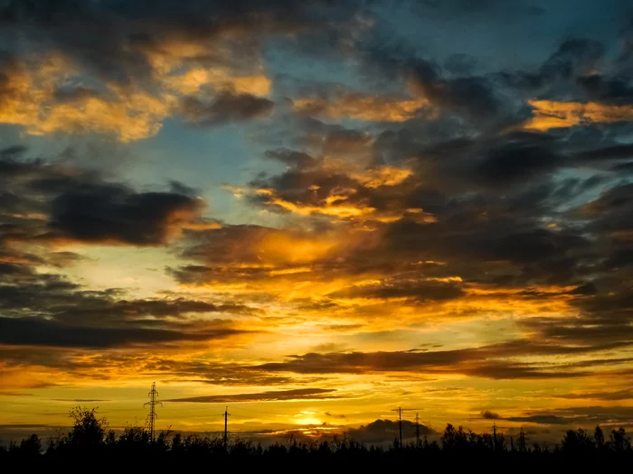 Yamal. - Tundra, Yamal, Summer, Nikon, The photo, Longpost