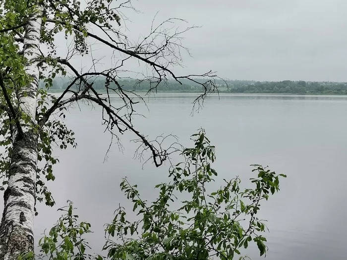 Озернинское водохранилище - Моё, Красота природы, Рыбалка, Отдых, Кувшинка, Вода, Озернинское водохранилище, Длиннопост, Фотография