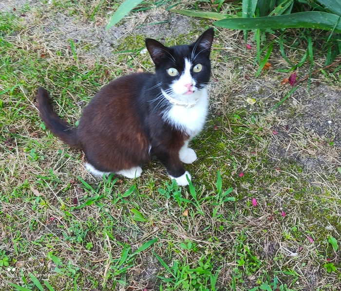 Give me your money!!!