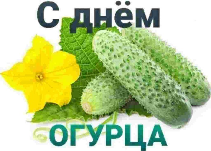 13 июля день признания своей гиковости. Смотреть фото 13 июля день признания своей гиковости. Смотреть картинку 13 июля день признания своей гиковости. Картинка про 13 июля день признания своей гиковости. Фото 13 июля день признания своей гиковости