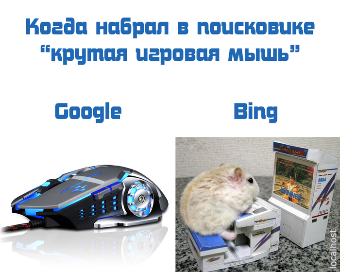   -    IT ,  , Google, Bing, ,  ,   