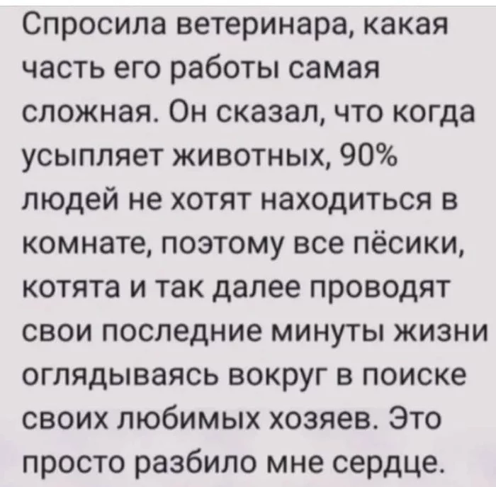 Спи моя радость усни... - Животные, Домашние животные, Ветеринар, Смерть, Усыпление, Картинка с текстом