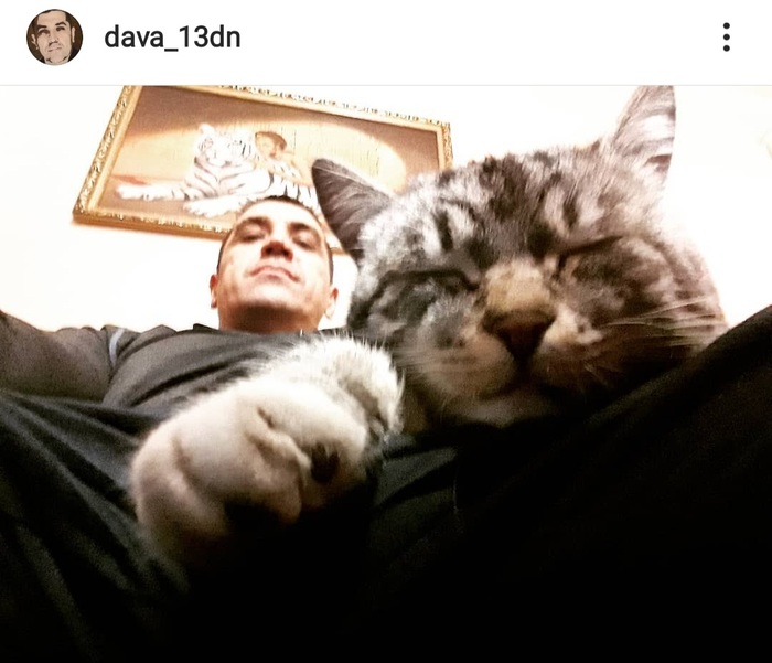 Братство тигра