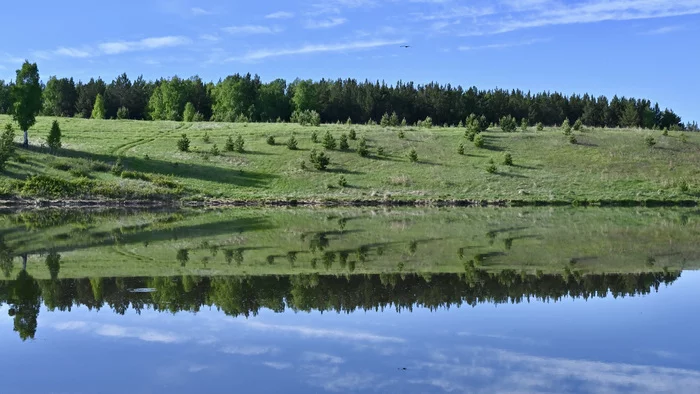 Symmetry - My, The photo, Nature, Reflection, Nikon, Beginning photographer, Krasnoyarsk region, Krasnoyarsk