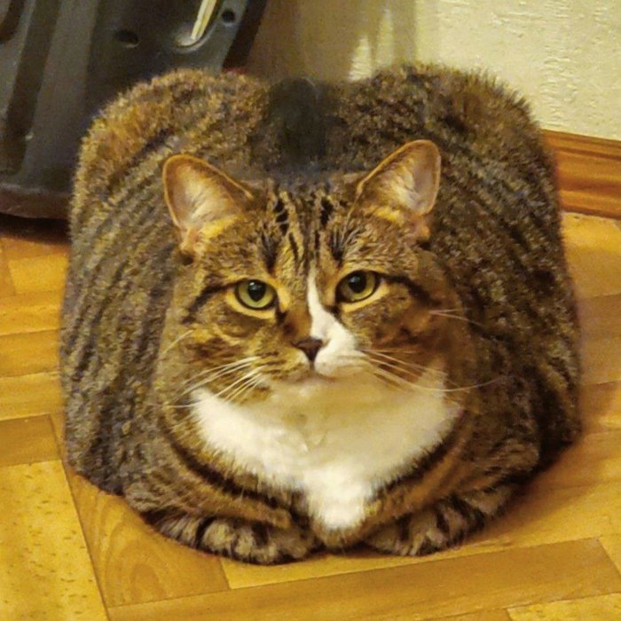 �� � �� ��, ����� �������