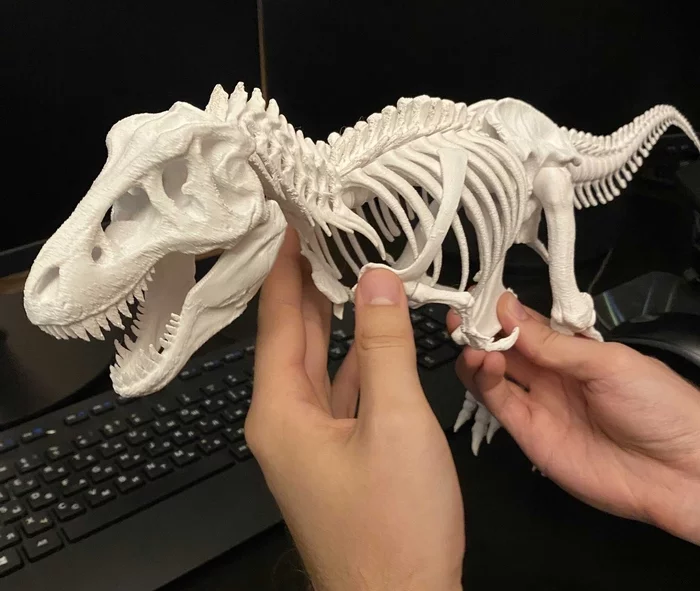 Meet Rex :) - My, 3D printer, 3D modeling, 3D печать, Tyrannosaurus, Skeleton, Longpost