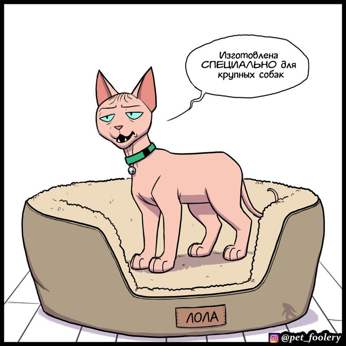  Pet Foolery,    , , , , 