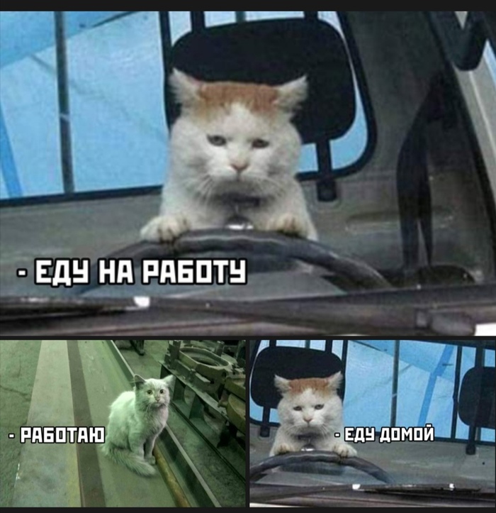 И так каждый день