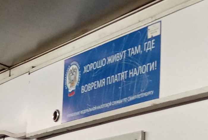 Плоти