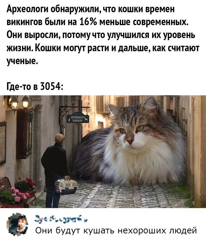 Эволюция - Комментарии, Кот, Эволюция