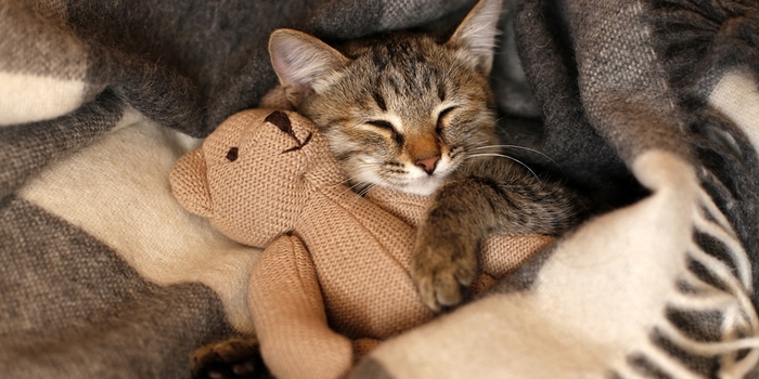 �� ����� ������ � ������� �� ����