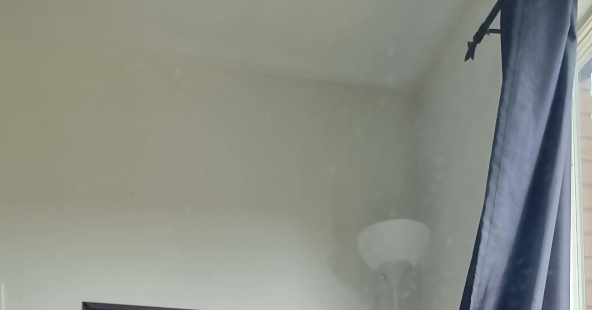 Nyctiluna | Пикабу