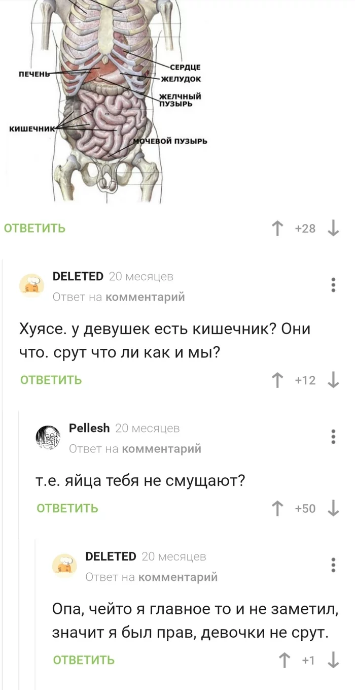 Когда ты не особо внимательный, но находчивый - Комментарии на Пикабу, Мат, Органы