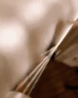 Полдюжины гифок с кошками Кот, Гифка, Милота, Длиннопост