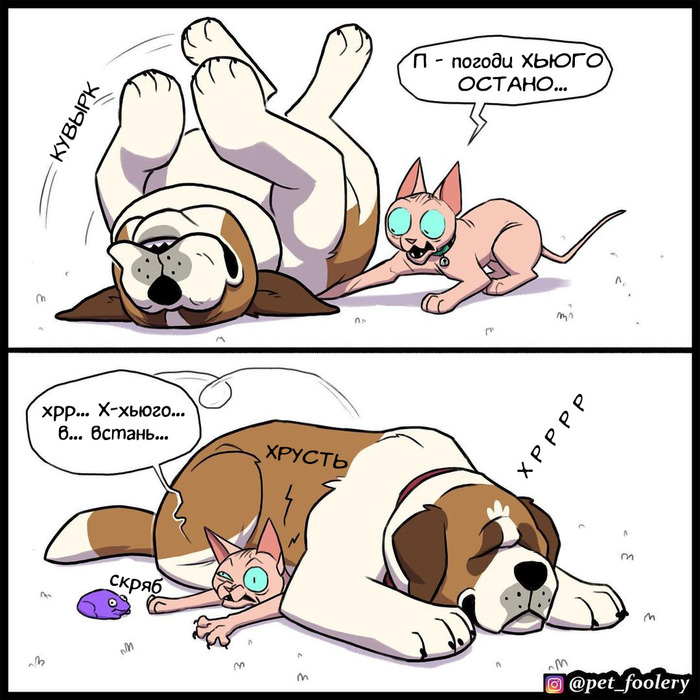   Pet Foolery, , ,    , 