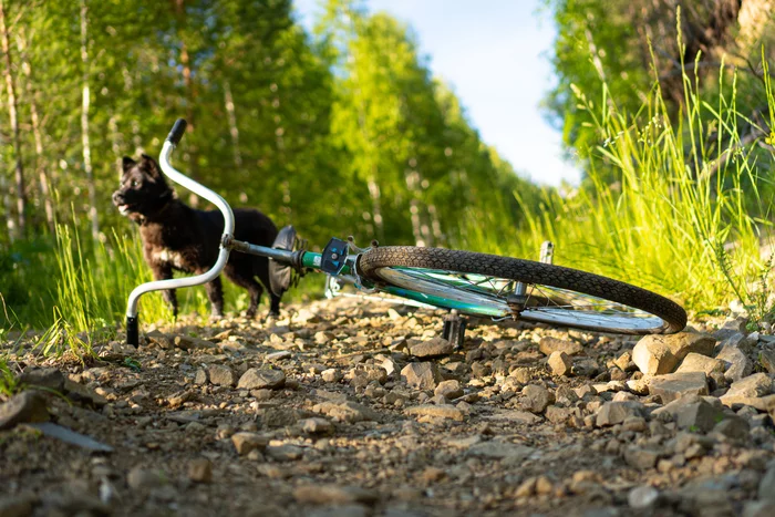 Ride on an old bike - My, A bike, The photo, I want criticism, Bashkortostan, Longpost