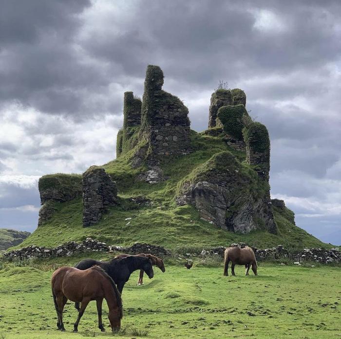 Ruins of a 13th century castle in Scotland - Scotland, Lock, Nature