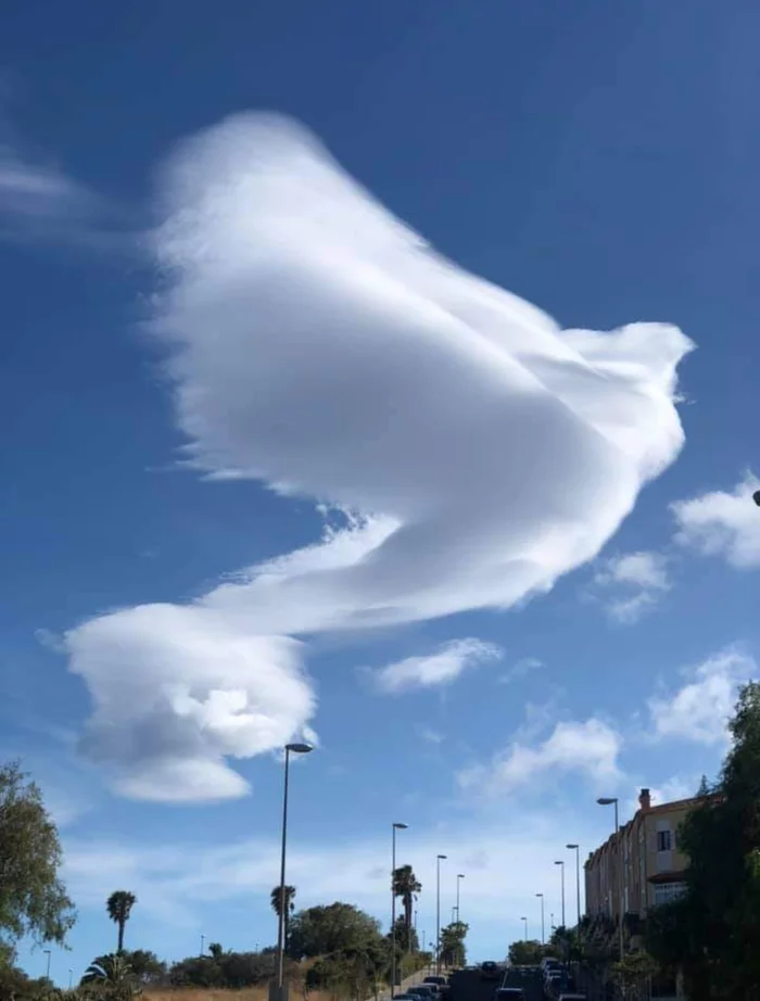 Paloma - My, Clouds, beauty of nature, Pareidolia