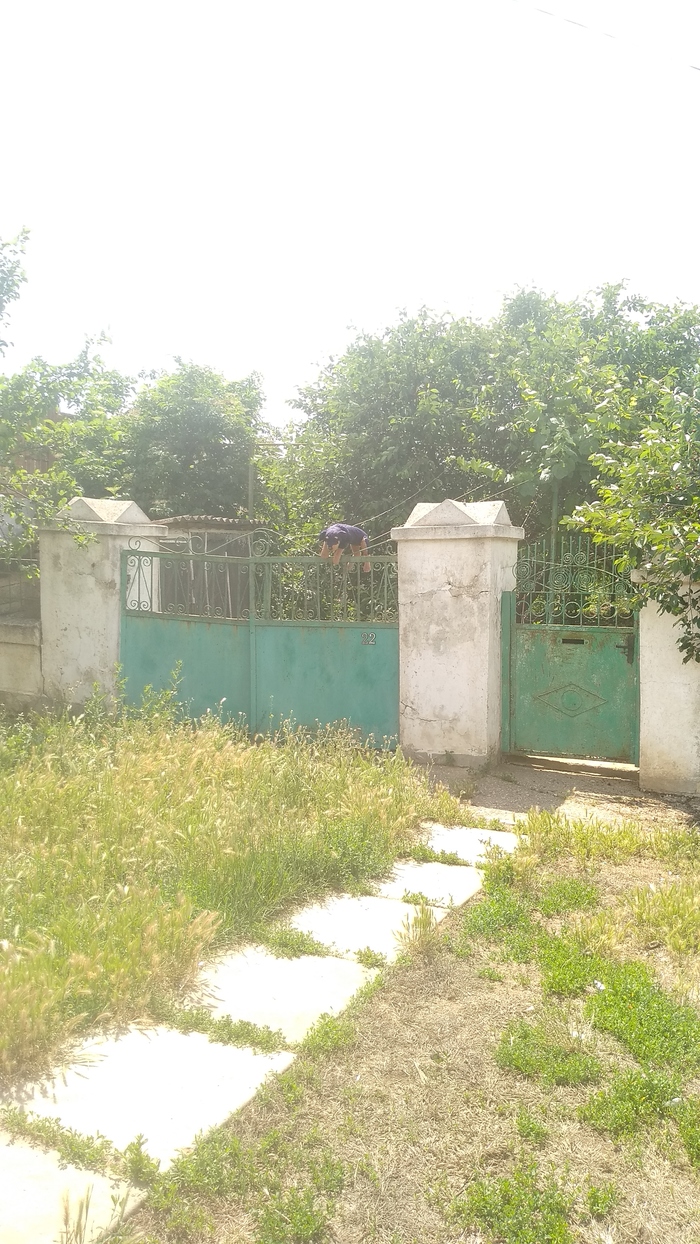 Случайная крипота