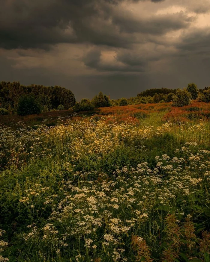 Sergiev Posad - Russia, The photo, Sergiev Posad, Nature, beauty of nature, The nature of Russia, Flowers, Sky, , The clouds