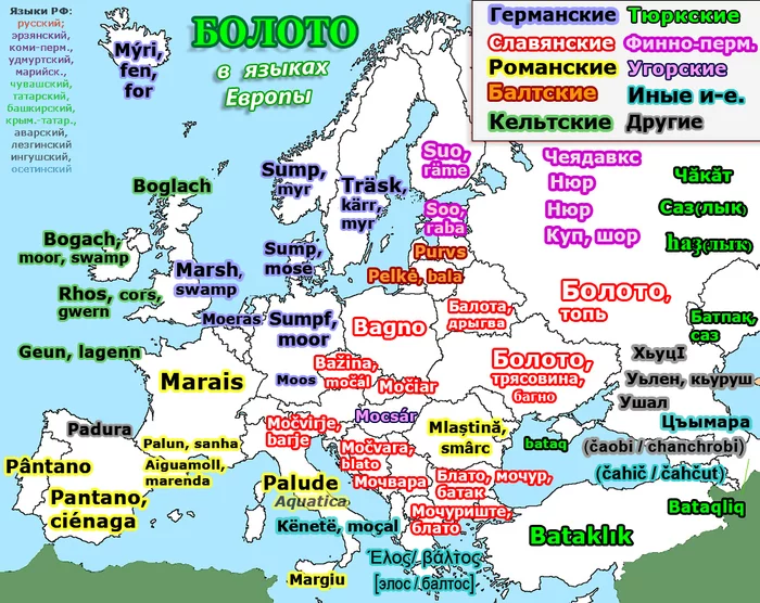 Swamp in the languages ??of Europe and Russia - Cards, Foreign languages, Swamp, Marsh, Vocabulary, Language, Comparison