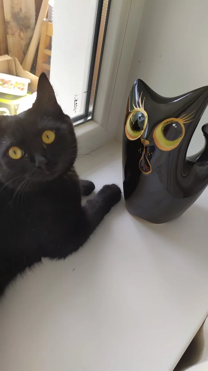 And we are nothing alike - My, cat, Photo on sneaker, Similarity, Black cat, Pets