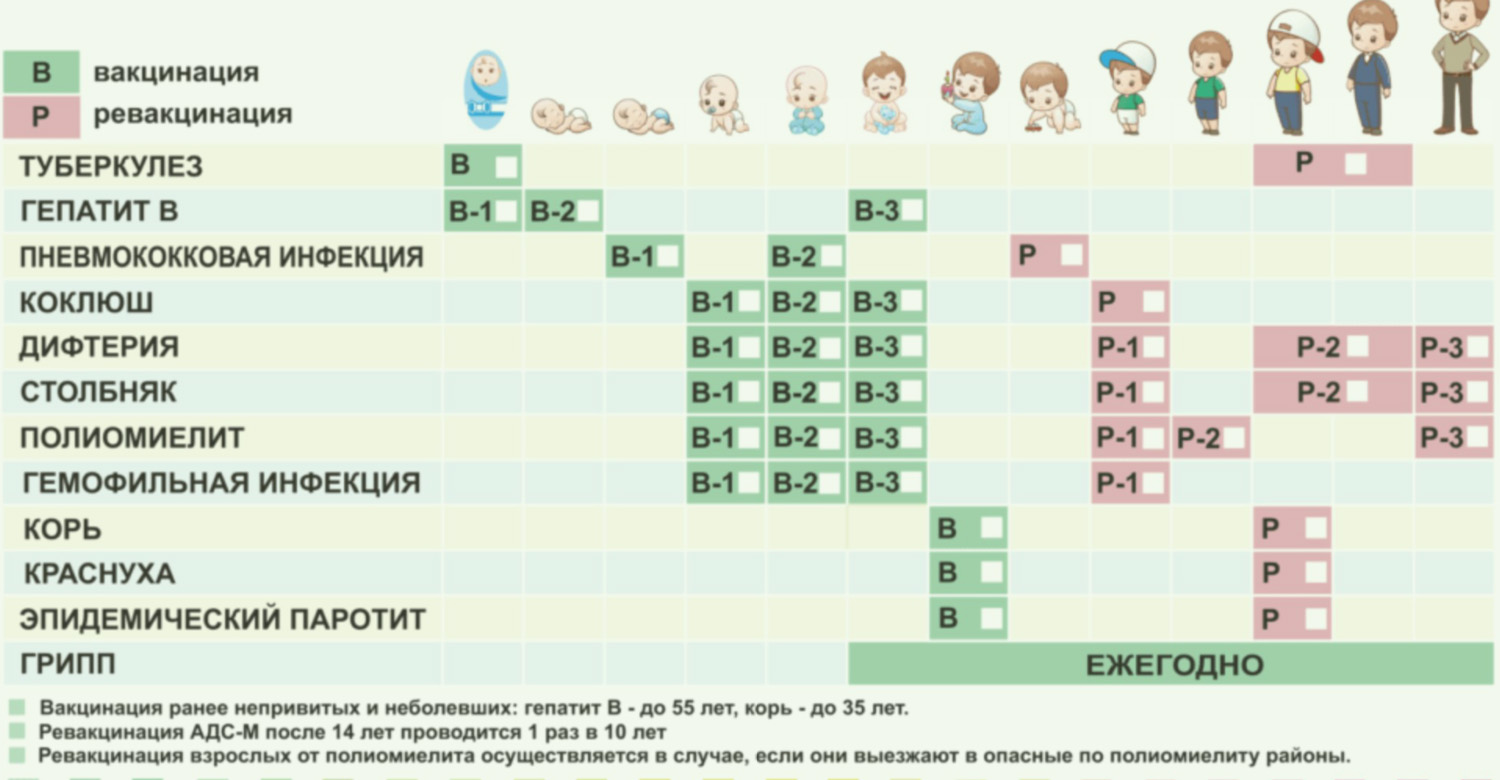 В детстве ставят прививки от кори. Календарь прививок. Вакцинация в детстве. Календарь прививок для детей в России.