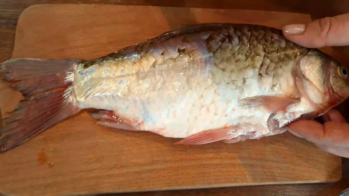 Fried carp without bones. My husband couldn't believe his eyes! - My, Recipe, Video recipe, A fish, Carp, Frying, Food, Cooking, Video, Longpost, Video blog