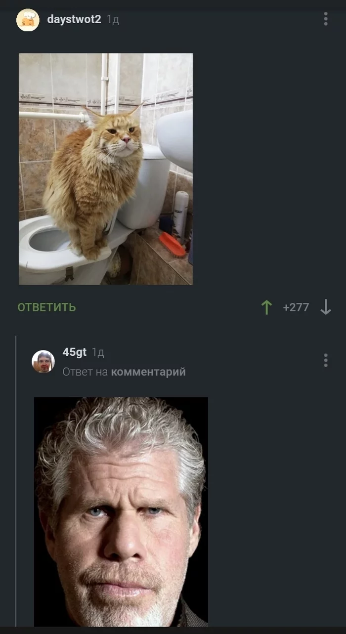 ahead of - Comments on Peekaboo, Screenshot, Ron Perlman, Maine Coon