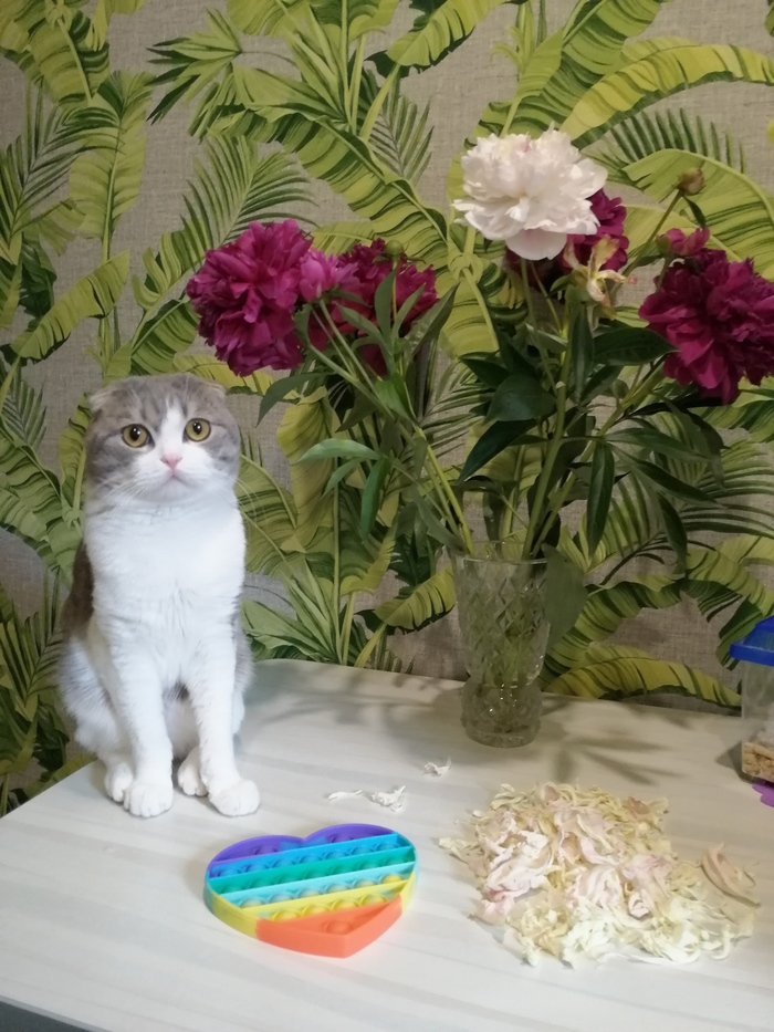 "��������� ����" � ��������