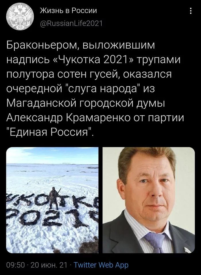 About geese - Chukotka, Poachers, Negative