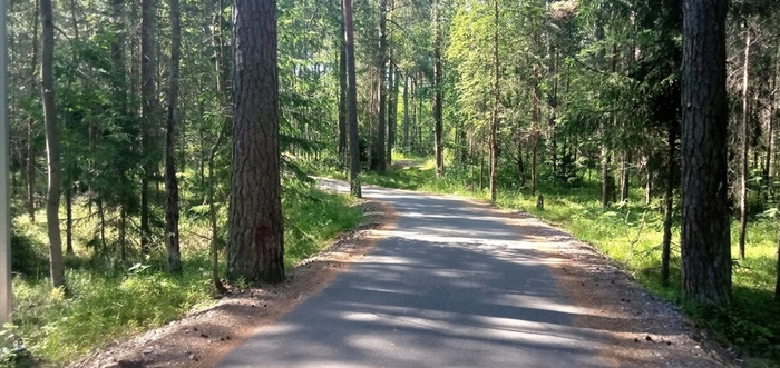 Часть веломаршрута