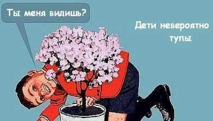 ���� �����