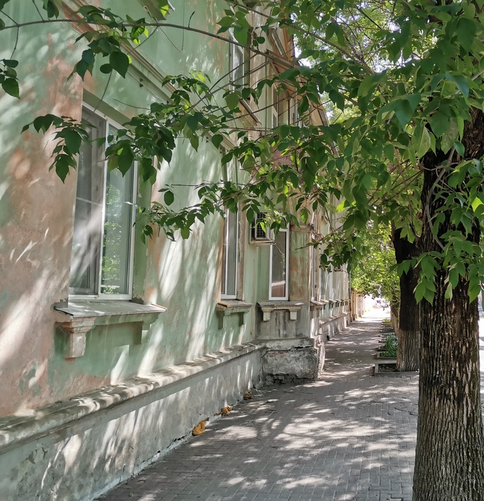 ������ ��������