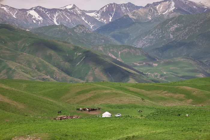 Zhailau - My, Kazakhstan, The mountains, Landscape, The photo, Pasture, Yurt