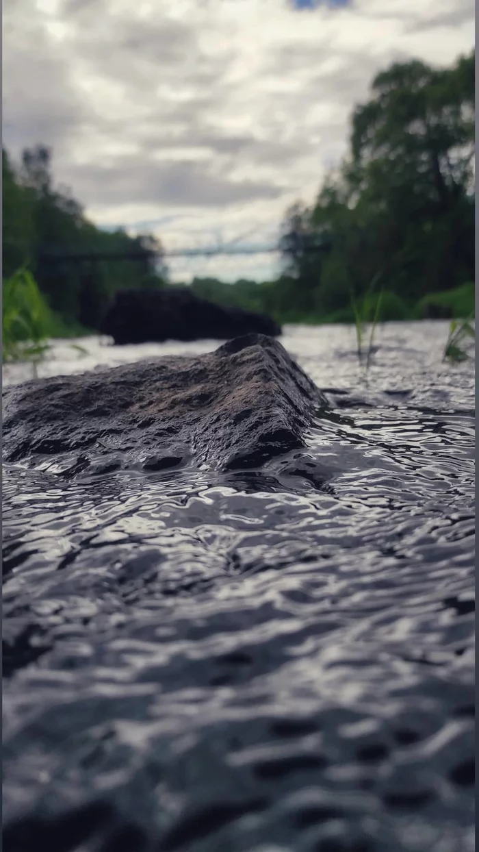 Istra River - My, River, The photo, Nature