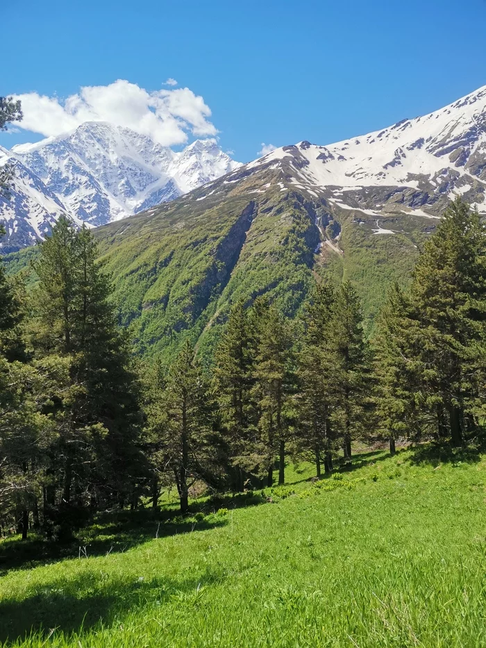 Caucasus - My, The mountains, Caucasus, Longpost