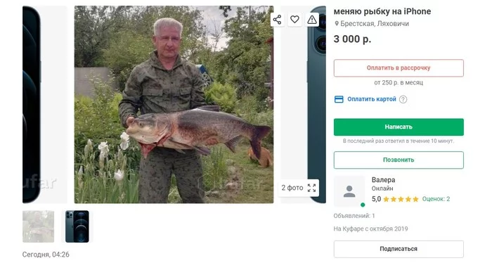 Объявление : меняю рыбу на IPhone, Валера - Моё, Объявление, Обмен, Рыбалка, Толстолобик, Рыба, Рыбаки, Республика Беларусь, Скриншот