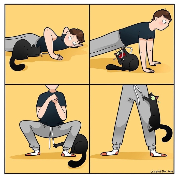 �� ����� �������