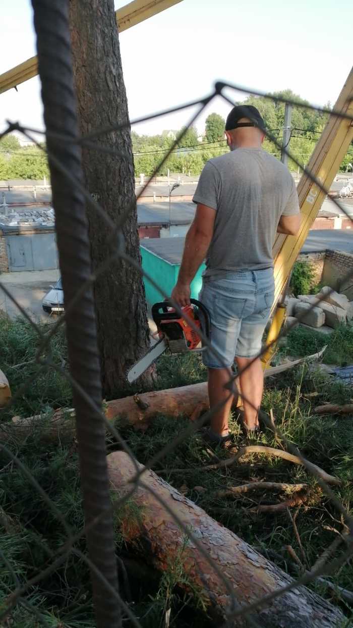 I ask for advice - is it possible to stop digging to the site from the garage cooperative? - My, League of Lawyers, Land plot, Troubled neighbors, Longpost, Help