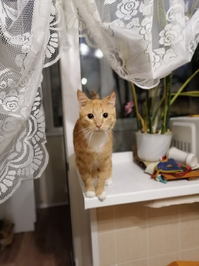 О нестабильном интернете