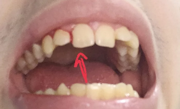 Need help - My, Dentistry, League of Lawyers