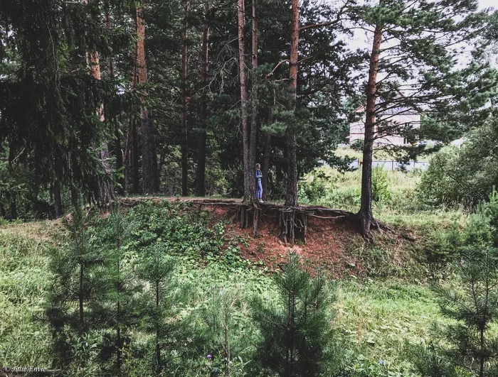Almost Alyonushka - My, Forest, Walk in the woods, Walk, Nature, The nature of Russia, beauty of nature, Russia, The photo, , PHOTOSESSION, Beginning photographer, Summer, Mobile photography