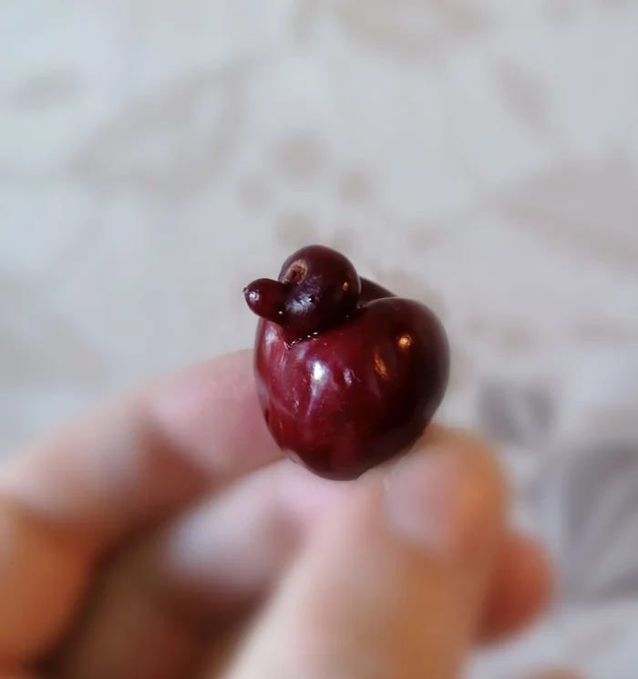 plump duck - It seemed, Cherries, Mobile photography