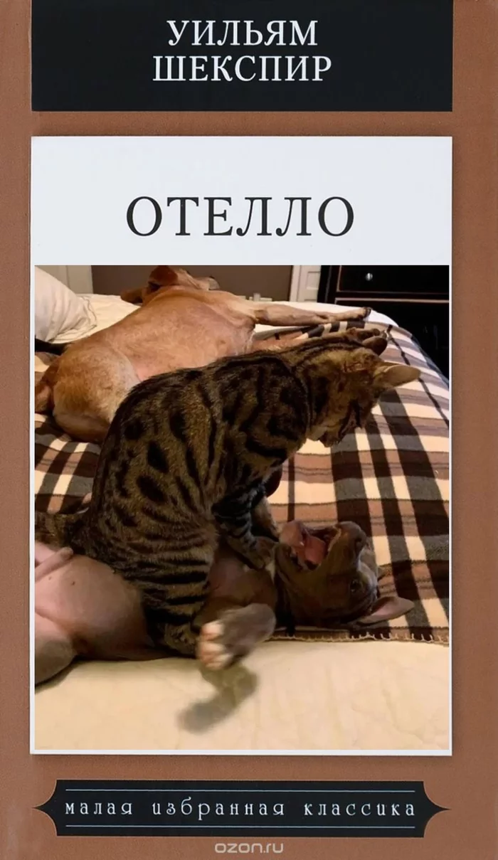 Cotello - Othello, William Shakespeare, Literature, Books, Dog, cat