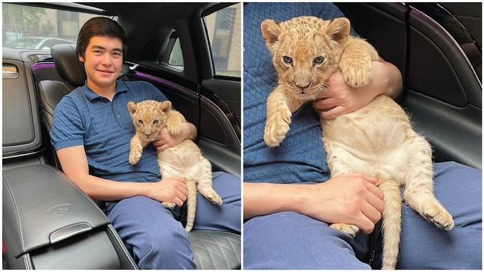 ����������� ����� �������������� ����� ����� ���� ��������� ����