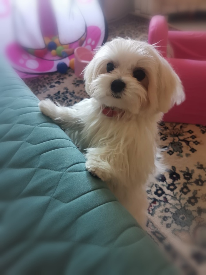 ������� �����