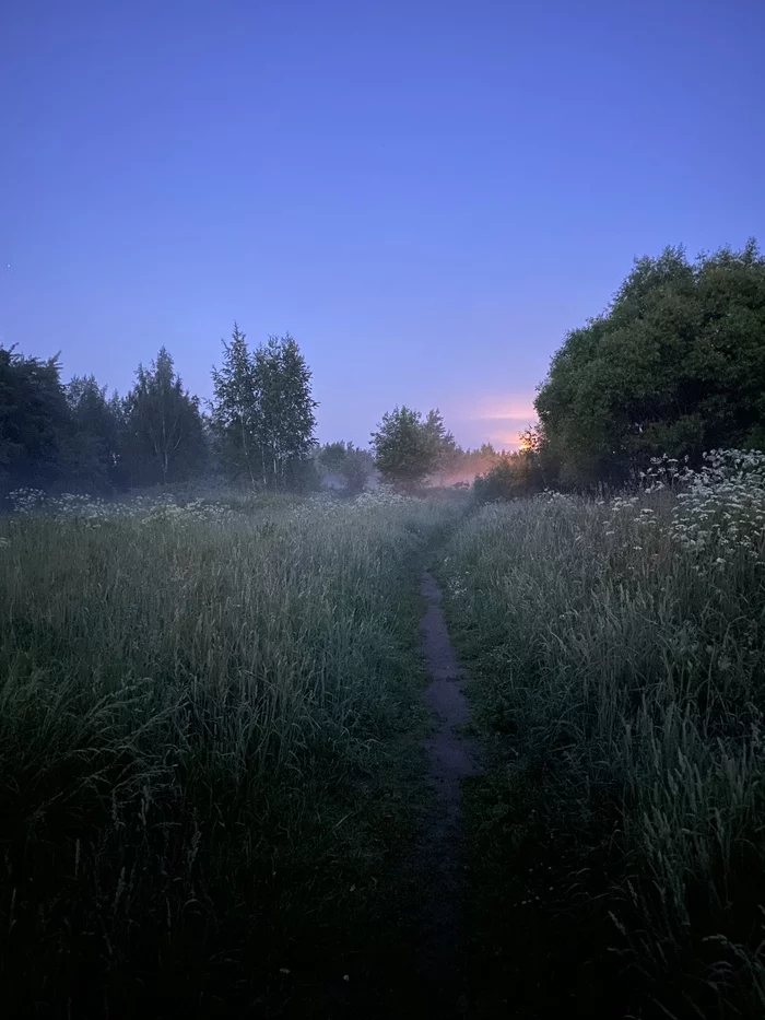 Moscow, Zelenograd, microdistrict 17. 3:20 am - My, The nature of Russia, Nature, Moscow, The photo