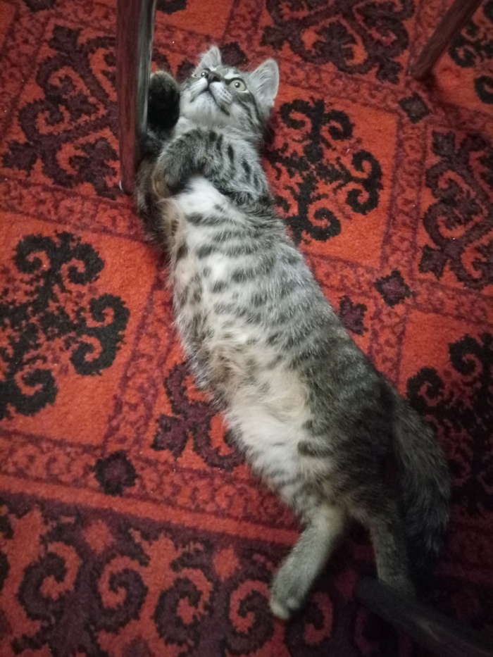   , , 